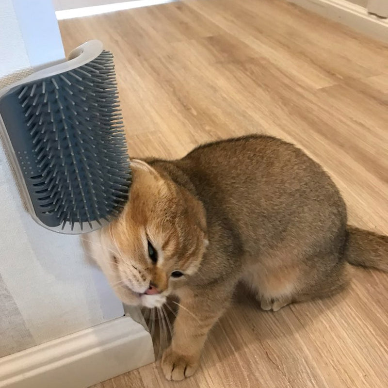 PurrBrush Corner Groomer